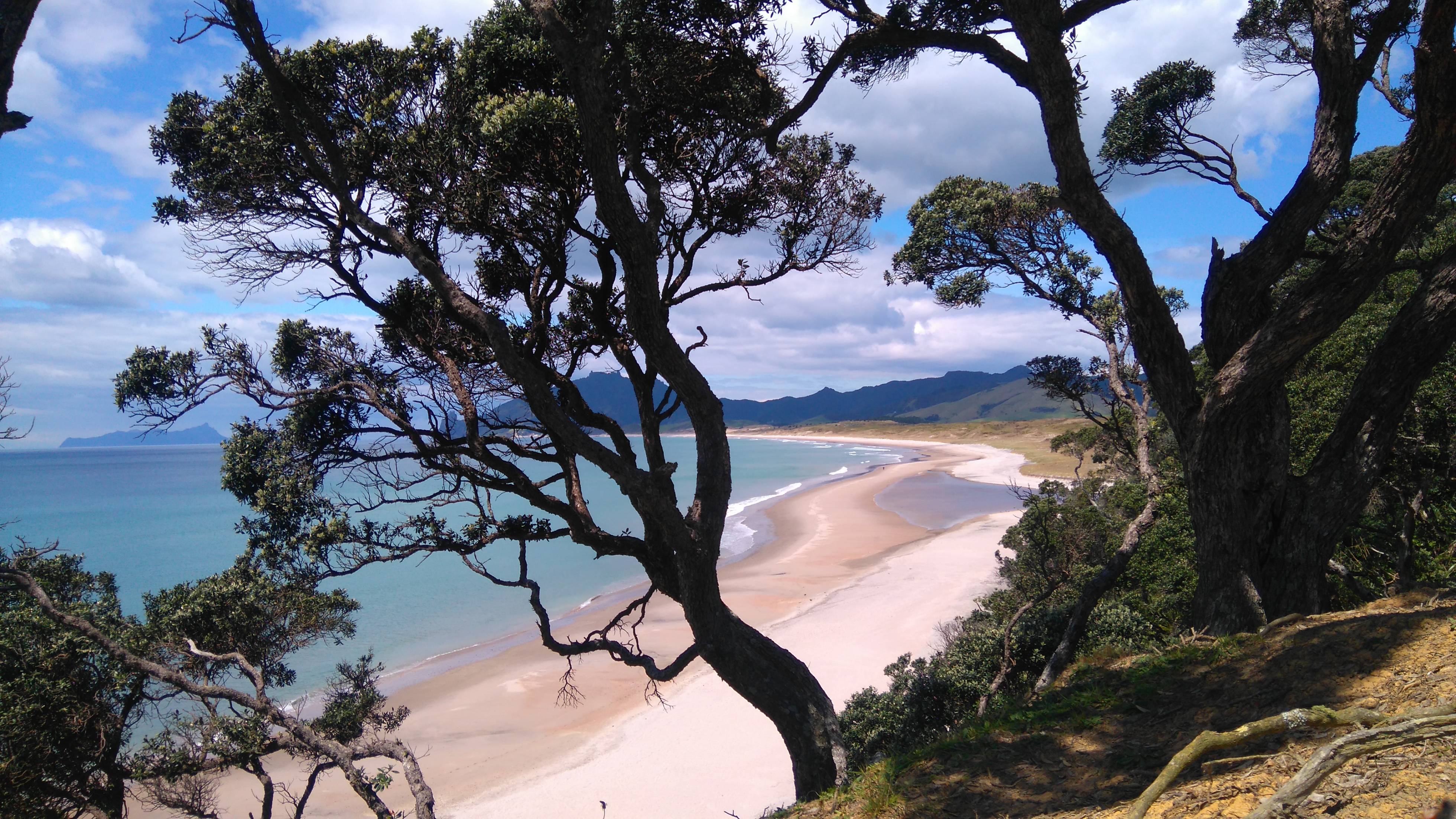 Te Araroa — 3.000 Kilometer durch Neuseeland